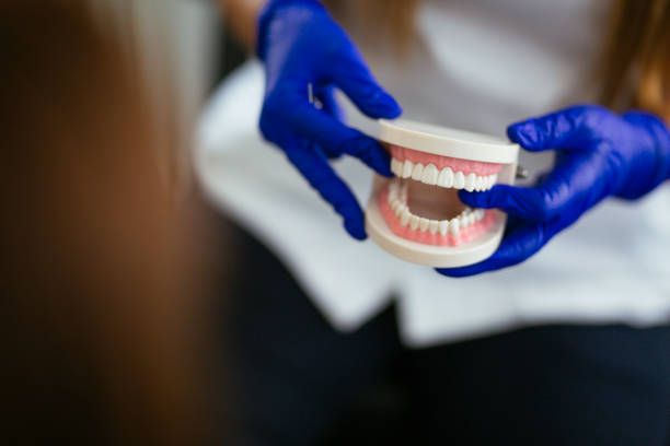 Best Traditional Braces  in South Bradenton, FL