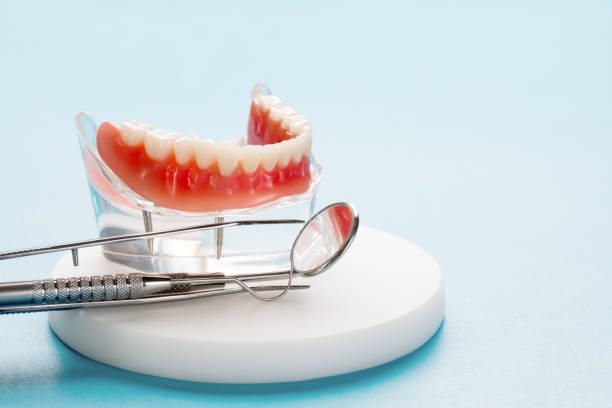 Why Choose Us for Your Dental Needs in South Bradenton, FL