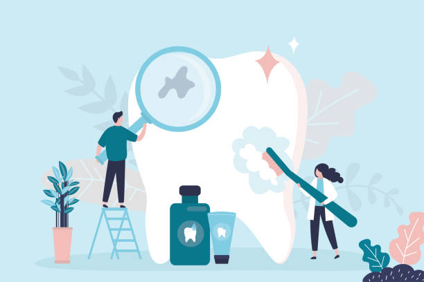 Professional  Holistic Dental Services in South Bradenton, FL